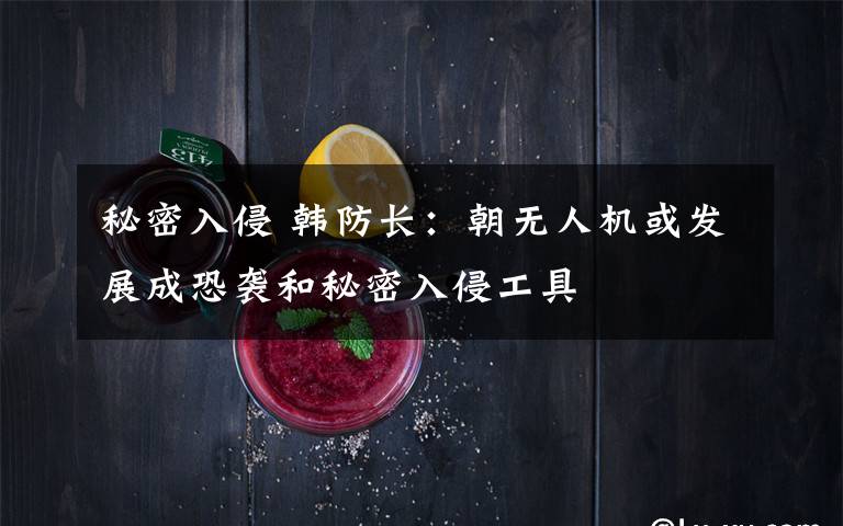 秘密入侵 韩防长：朝无人机或发展成恐袭和秘密入侵工具