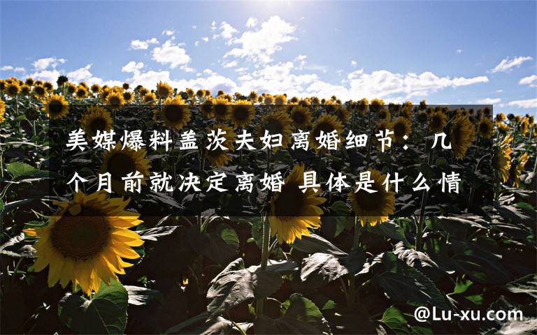 美媒爆料盖茨夫妇离婚细节:几个月前就决定离婚 具体是什么情况?