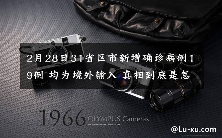 2月28日31省区市新增确诊病例19例 均为境外输入 真相到底是怎样的?