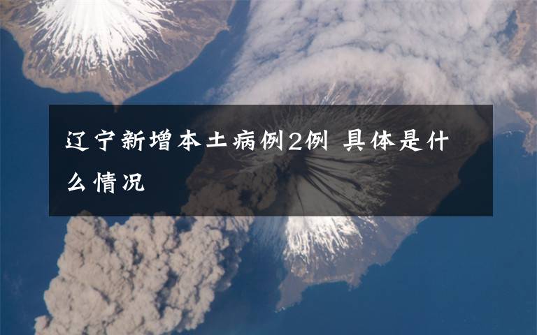 辽宁新增本土病例2例 具体是什么情况