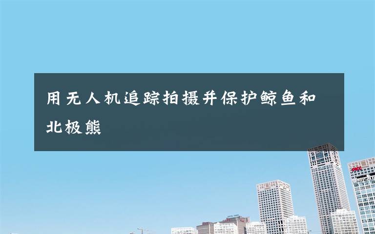 用无人机追踪拍摄并保护鲸鱼和北极熊