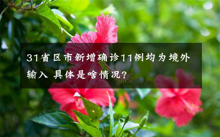 31省区市新增确诊11例均为境外输入 具体是啥情况?