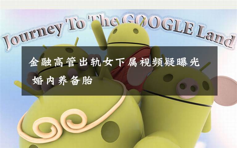 金融高管出轨女下属视频疑曝光 婚内养备胎