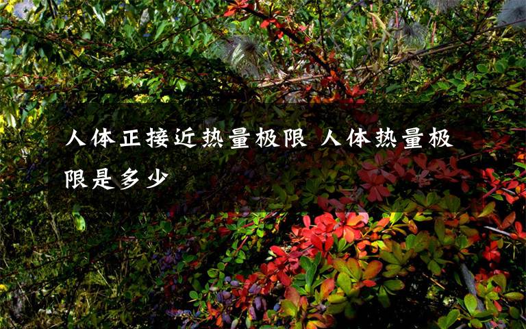 人体正接近热量极限 人体热量极限是多少
