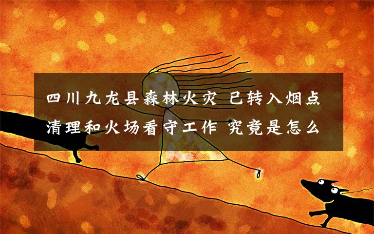四川九龙县森林火灾 已转入烟点清理和火场看守工作 究竟是怎么一回事?