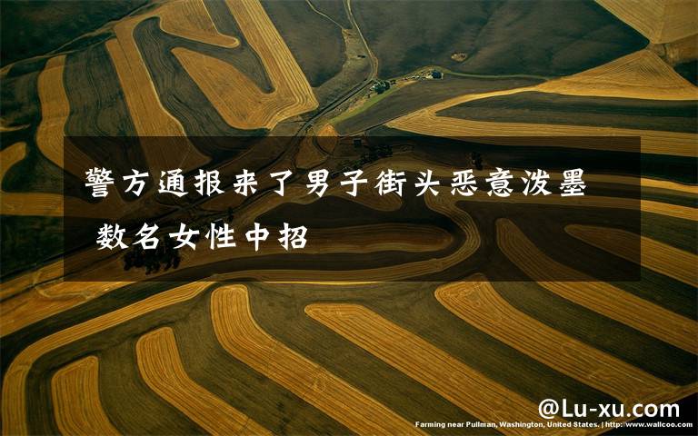 警方通报来了男子街头恶意泼墨 数名女性中招