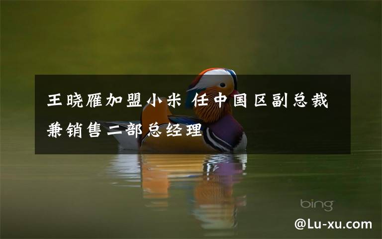 王晓雁加盟小米 任中国区副总裁兼销售二部总经理