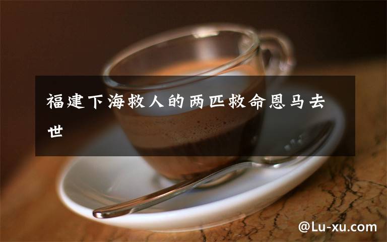 福建下海救人的两匹救命恩马去世