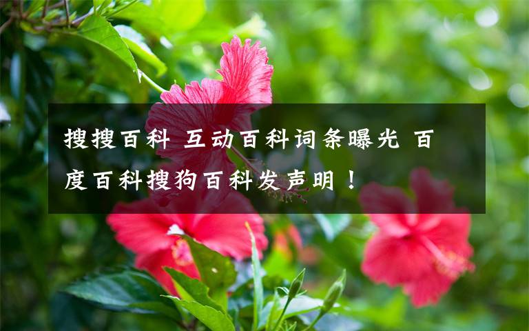 搜搜百科 互动百科词条曝光 百度百科搜狗百科发声明！