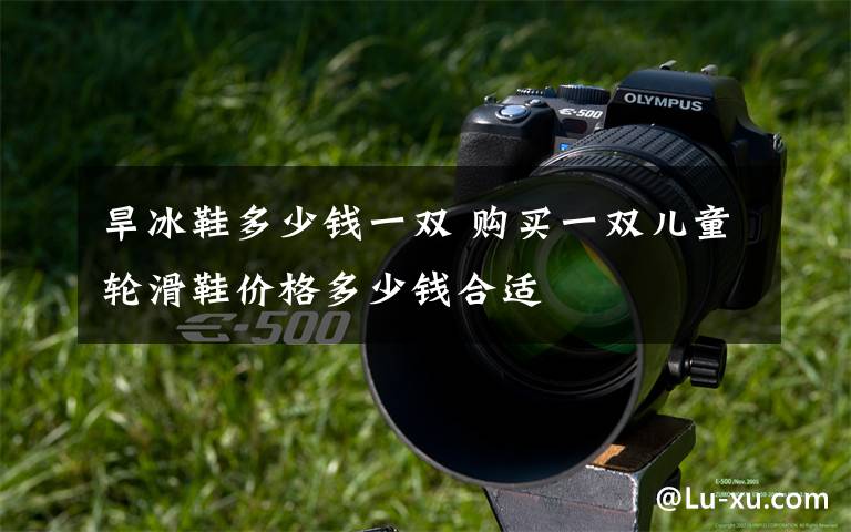 旱冰鞋多少钱一双 购买一双儿童轮滑鞋价格多少钱合适