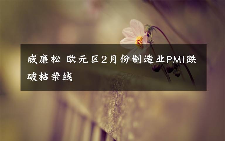 威廉松 欧元区2月份制造业PMI跌破枯荣线