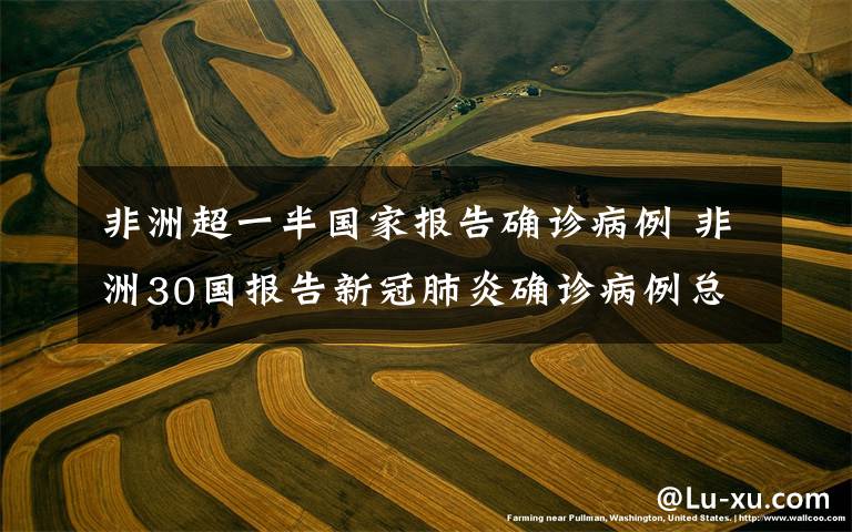 非洲超一半国家报告确诊病例 非洲30国报告新冠肺炎确诊病例总数超450例