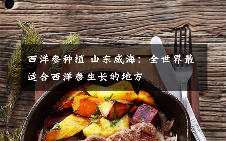 西洋参种植 山东威海:全世界最适合西洋参生长的地方