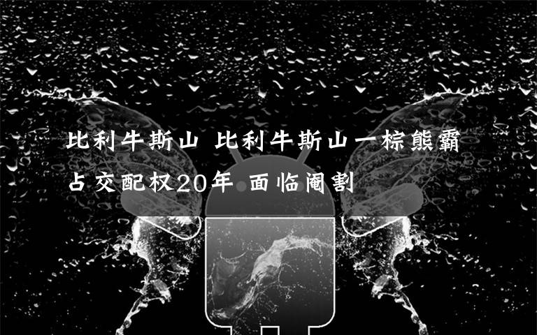 比利牛斯山 比利牛斯山一棕熊霸占交配权20年 面临阉割