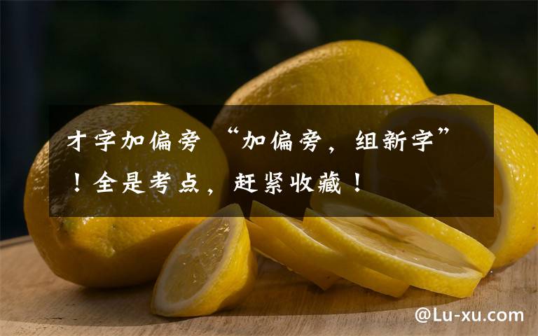 才字加偏旁 “加偏旁，组新字”！全是考点，赶紧收藏！