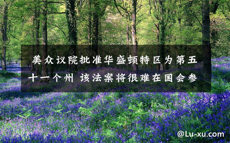 美众议院批准华盛顿特区为第五十一个州 该法案将很难在国会参议院过关