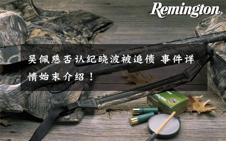 吴佩慈否认纪晓波被追债 事件详情始末介绍！