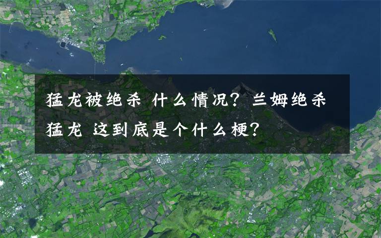 猛龙被绝杀 什么情况?兰姆绝杀猛龙 这到底是个什么梗?