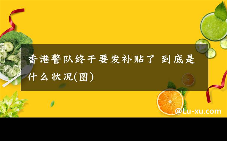香港警队终于要发补贴了 到底是什么状况(图)