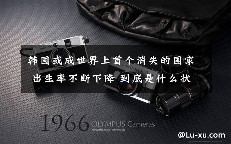 韩国或成世界上首个消失的国家 出生率不断下降 到底是什么状况?