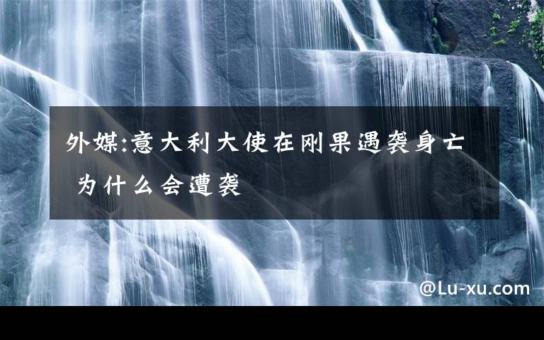 外媒:意大利大使在刚果遇袭身亡 为什么会遭袭