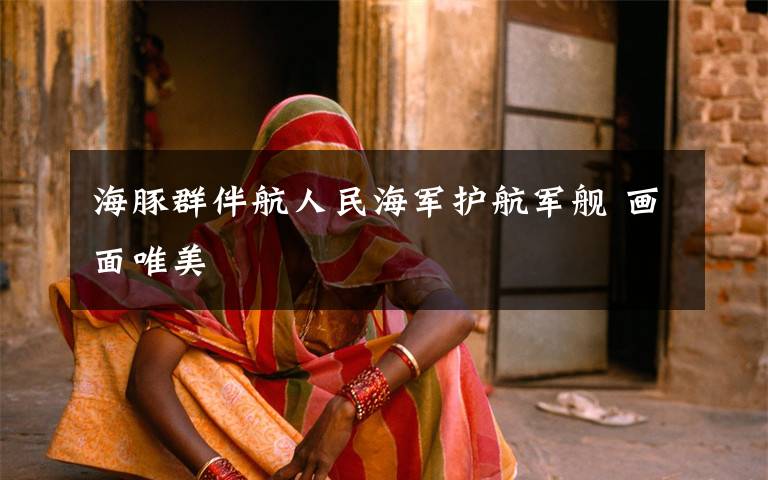 海豚群伴航人民海军护航军舰 画面唯美