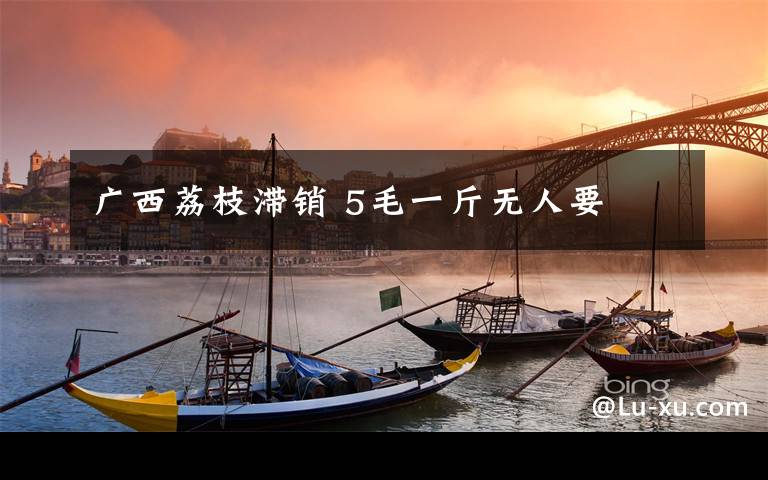 广西荔枝滞销 5毛一斤无人要