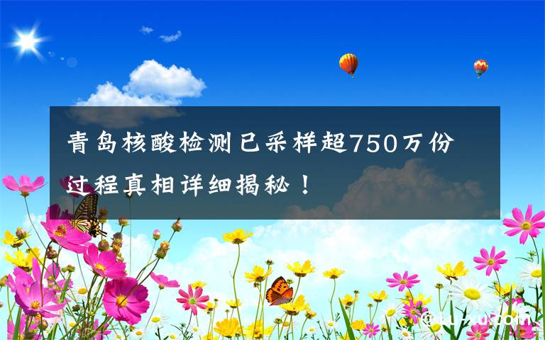 青岛核酸检测已采样超750万份 过程真相详细揭秘!