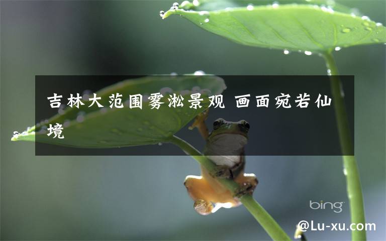 吉林大范围雾凇景观 画面宛若仙境