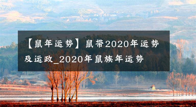 【鼠年运势】鼠带2020年运势及运政_2020年鼠族年运势