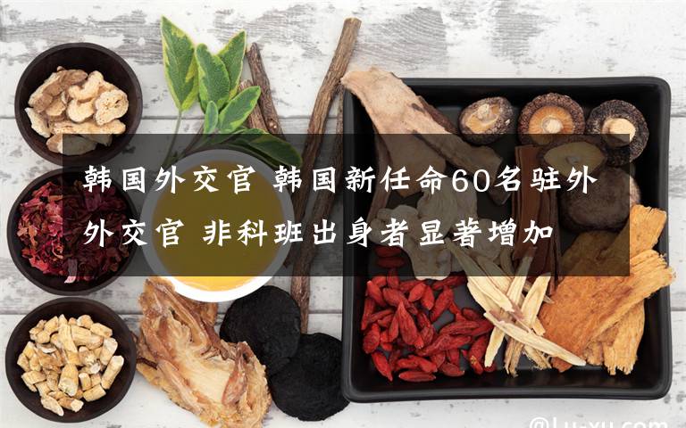 韩国外交官 韩国新任命60名驻外外交官 非科班出身者显著增加