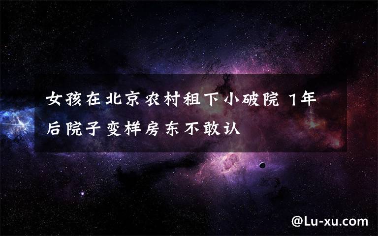 女孩在北京农村租下小破院 1年后院子变样房东不敢认