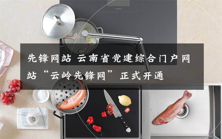 先锋网站 云南省党建综合门户网站“云岭先锋网”正式开通