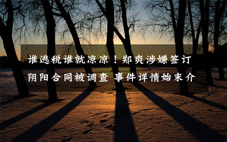 谁逃税谁就凉凉!郑爽涉嫌签订阴阳合同被调查 事件详情始末介绍!