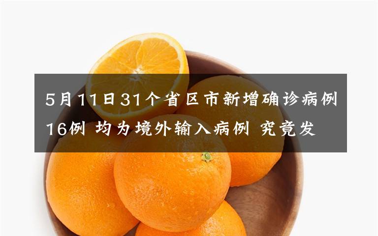 5月11日31个省区市新增确诊病例16例 均为境外输入病例 究竟发生了什么?