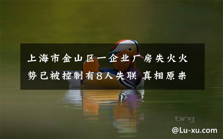上海市金山区一企业厂房失火火势已被控制有8人失联 真相原来是这样!