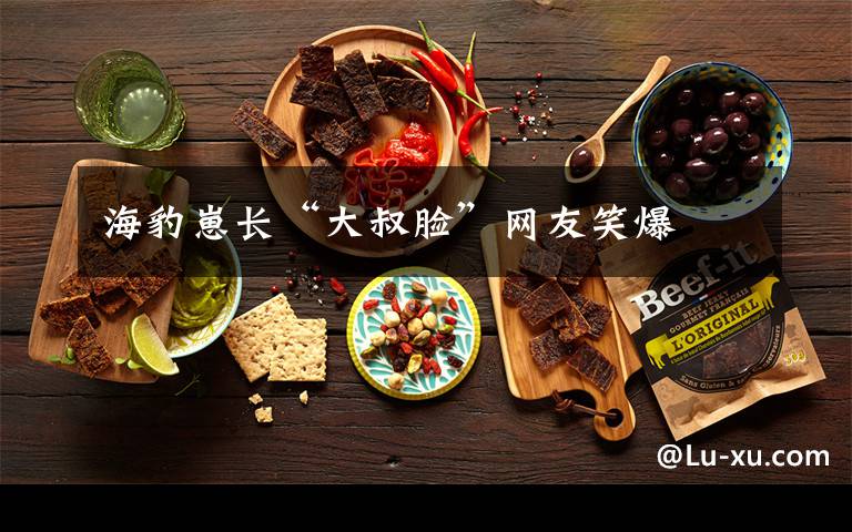 海豹崽长“大叔脸”网友笑爆