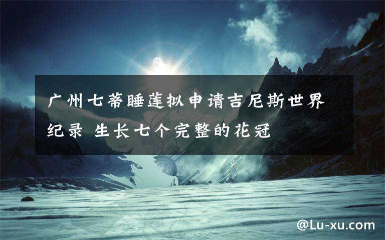 广州七蒂睡莲拟申请吉尼斯世界纪录 生长七个完整的花冠
