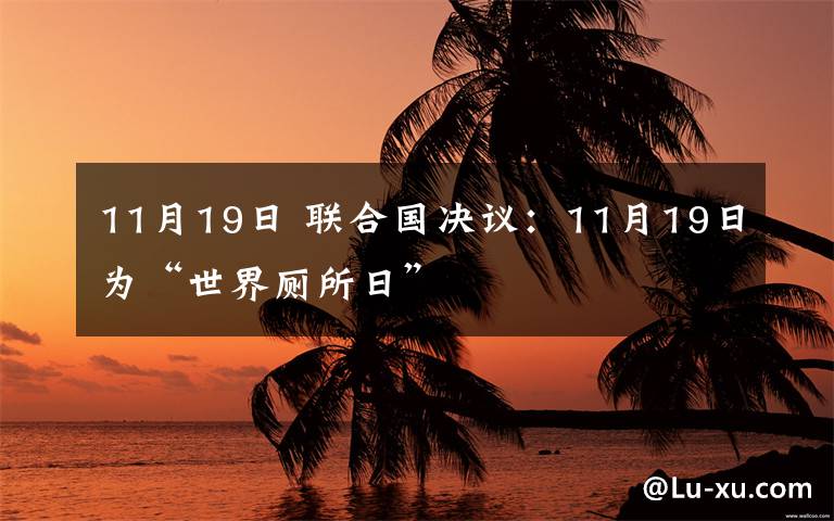 11月19日 联合国决议:11月19日为“世界厕所日”