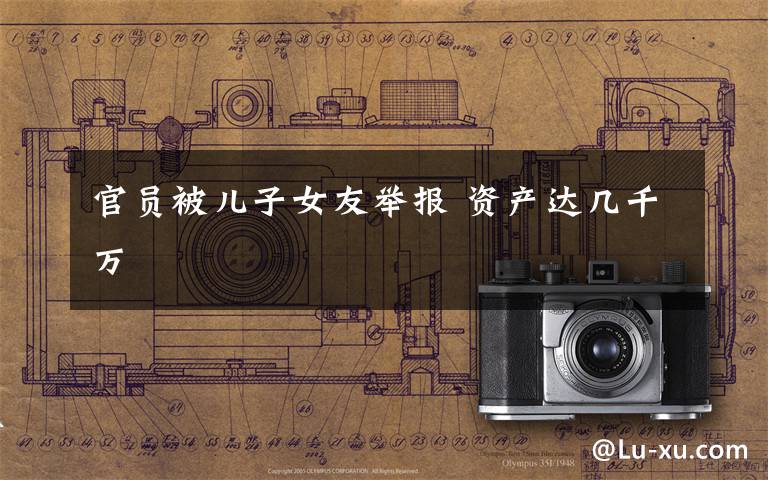 官员被儿子女友举报 资产达几千万
