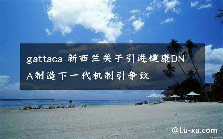 gattaca 新西兰关于引进健康DNA制造下一代机制引争议