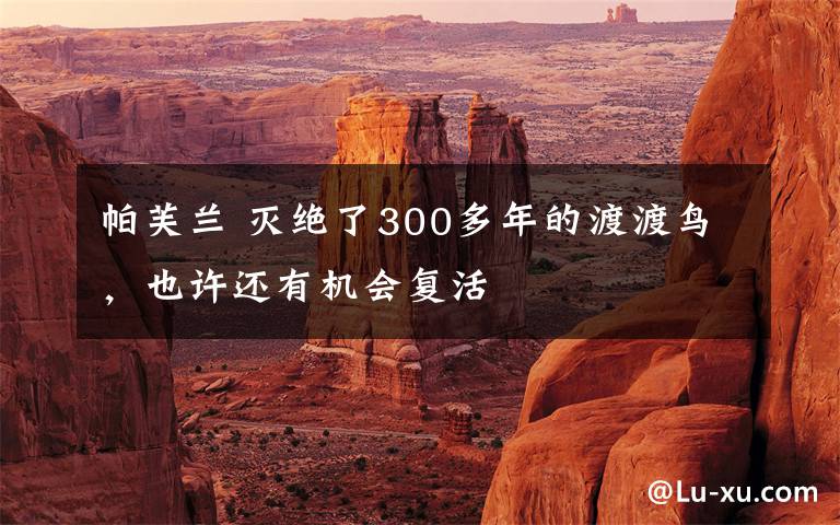 帕芙兰 灭绝了300多年的渡渡鸟,也许还有机会复活