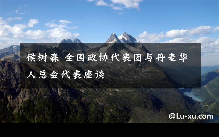 侯树森 全国政协代表团与丹麦华人总会代表座谈