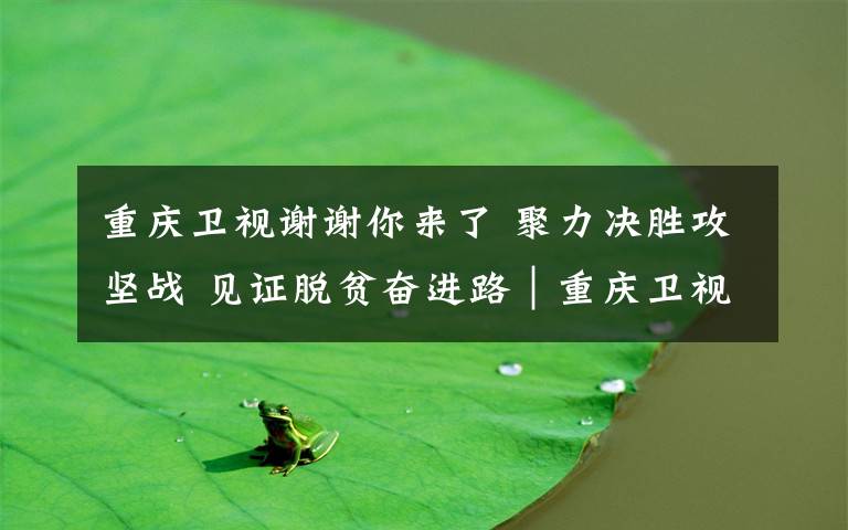 重庆卫视谢谢你来了 聚力决胜攻坚战 见证脱贫奋进路|重庆卫视《谢谢你来了》系列特别节目《决战决胜 奋斗有我》