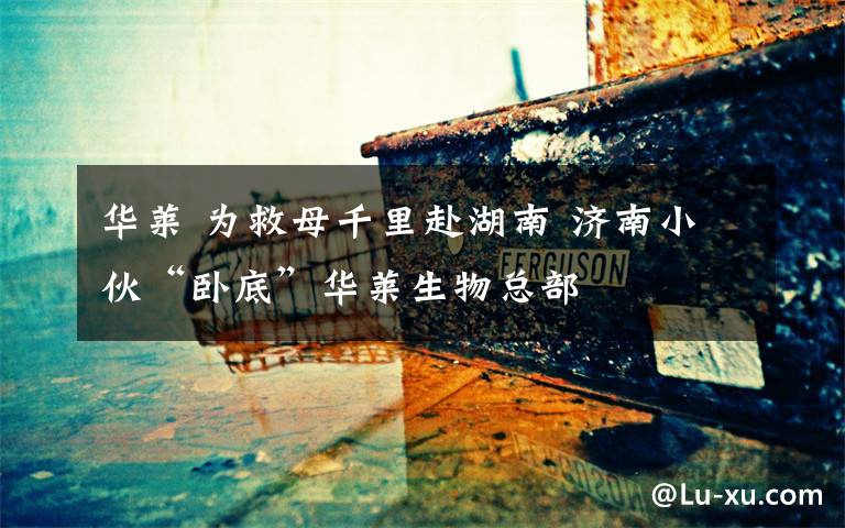 华莱 为救母千里赴湖南 济南小伙“卧底”华莱生物总部