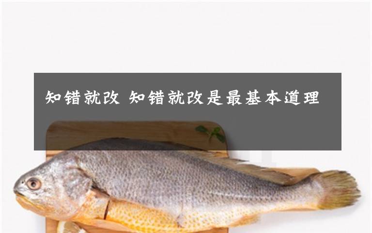 知错就改 知错就改是最基本道理