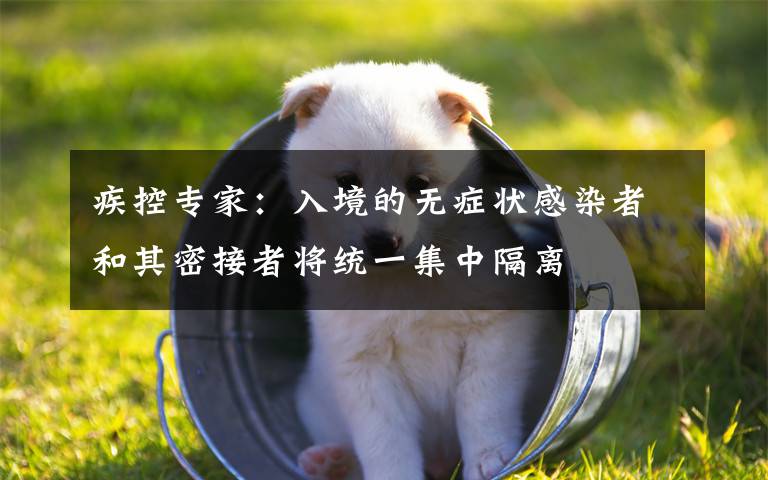 疾控专家：入境的无症状感染者和其密接者将统一集中隔离