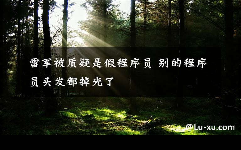 雷军被质疑是假程序员 别的程序员头发都掉光了