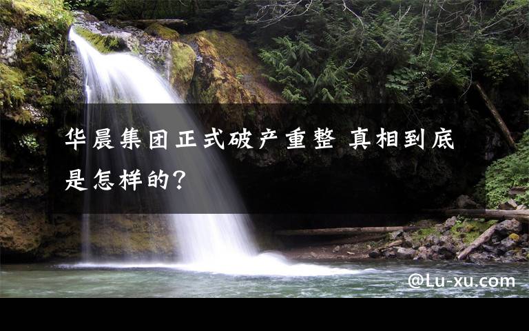 华晨集团正式破产重整 真相到底是怎样的?