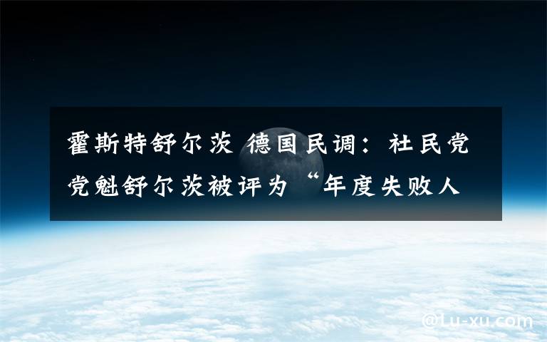 霍斯特舒尔茨 德国民调：社民党党魁舒尔茨被评为“年度失败人物”